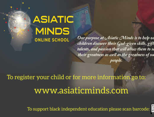 Asiatic Minds Online School